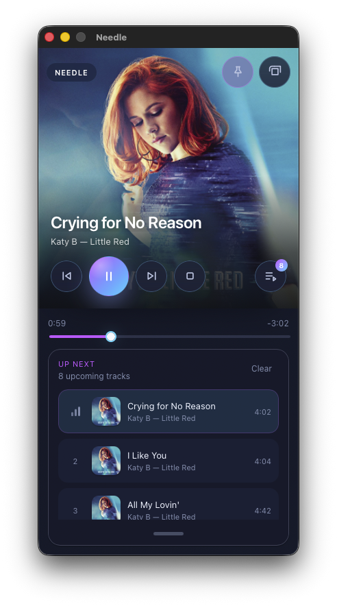 Needle's mini player expanded to show the Up Next queue with upcoming tracks
